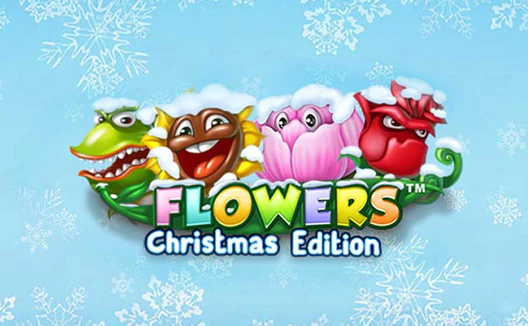 FlowersChristmas