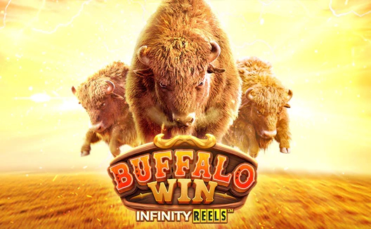 Buffalo Win